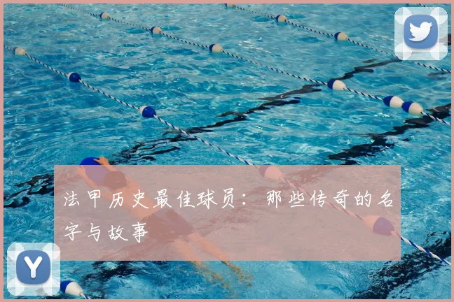 法甲历史最佳球员：那些传奇的名字与故事